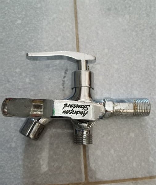 Củ Tắm American Standard